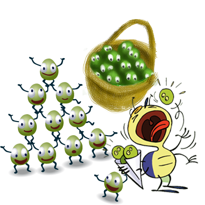 Les pucerons Les pucerons