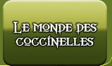 Le monde des coccinelles